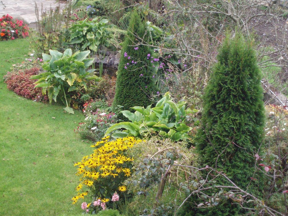 Rosdarrig Bed & Breakfast Boyle Kültér fotó